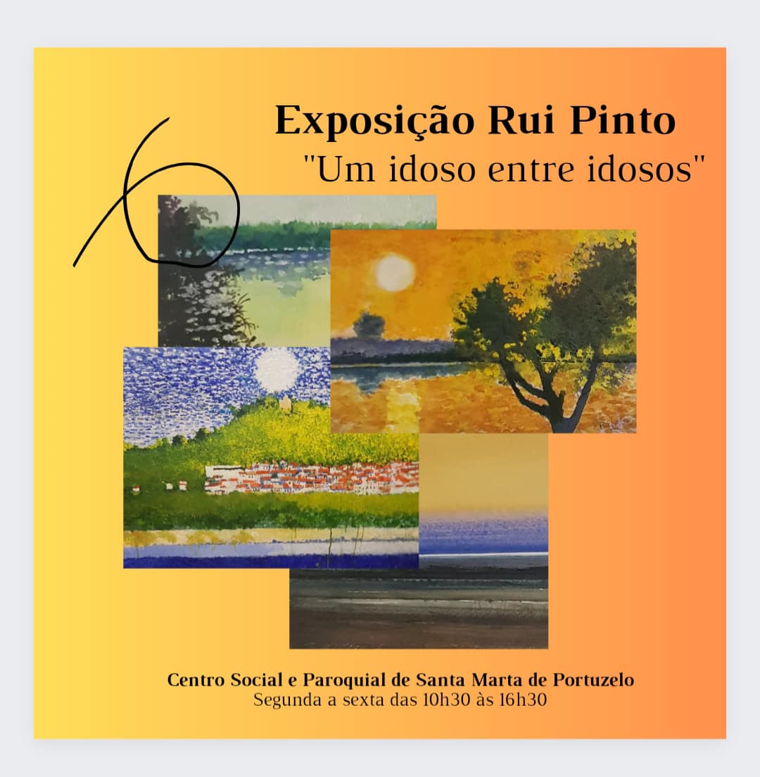 Exposição Um Idoso Entre Idosos, Rui Pinto