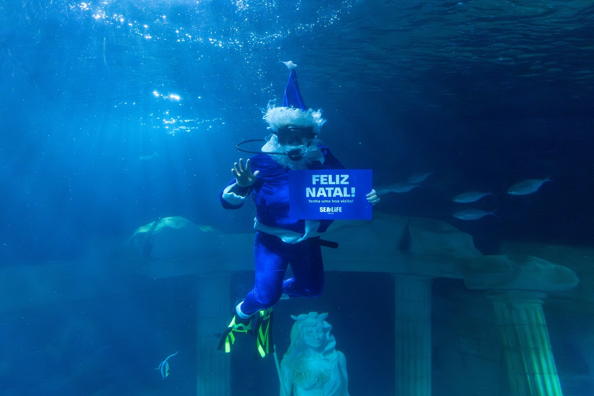Pai Natal dos Oceanos regressa ao SEA LIFE Porto