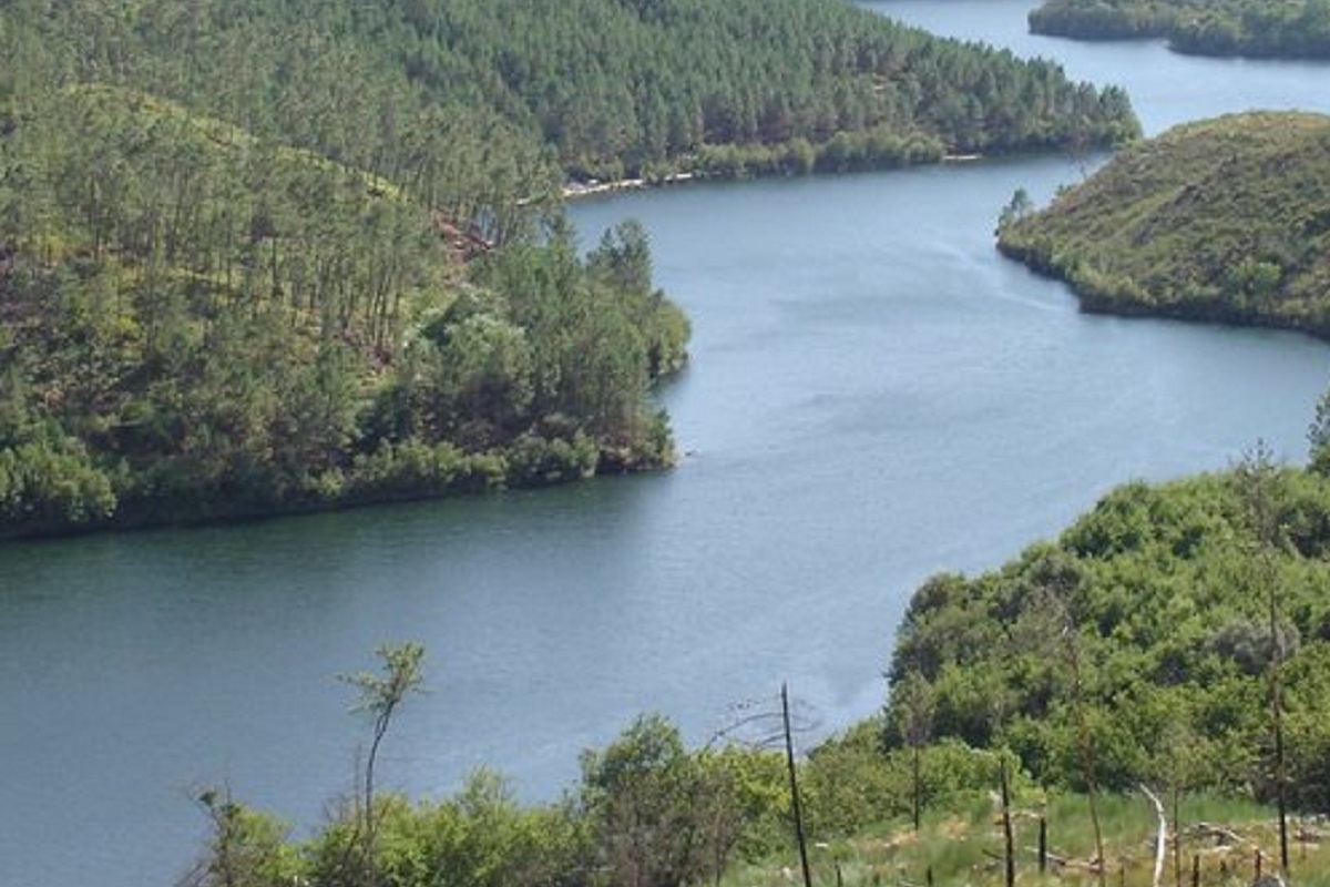 Concurso para exploração das pesqueiras de lampreia em Paçô