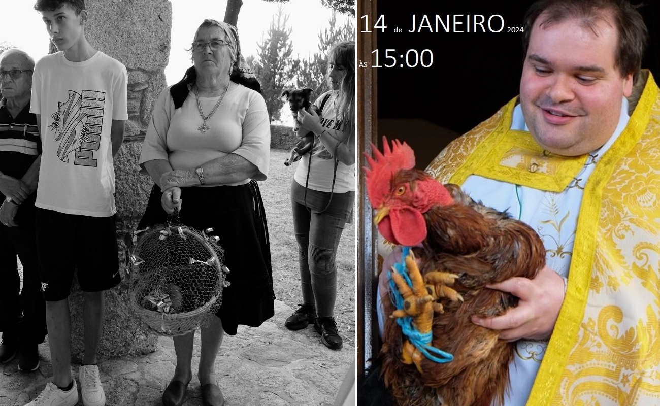 Este domingo! Bênção dos Animais em Friastelas