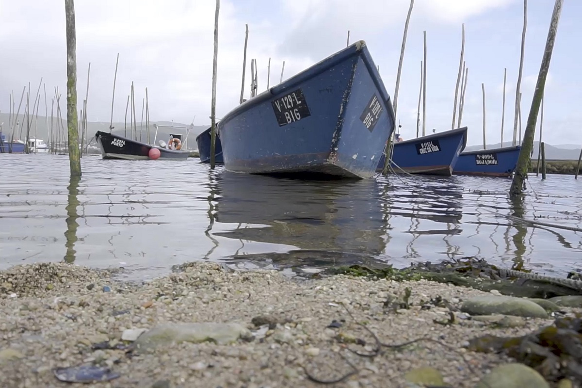 Pescador morre subitamente durante faina da lampreia no rio Minho
