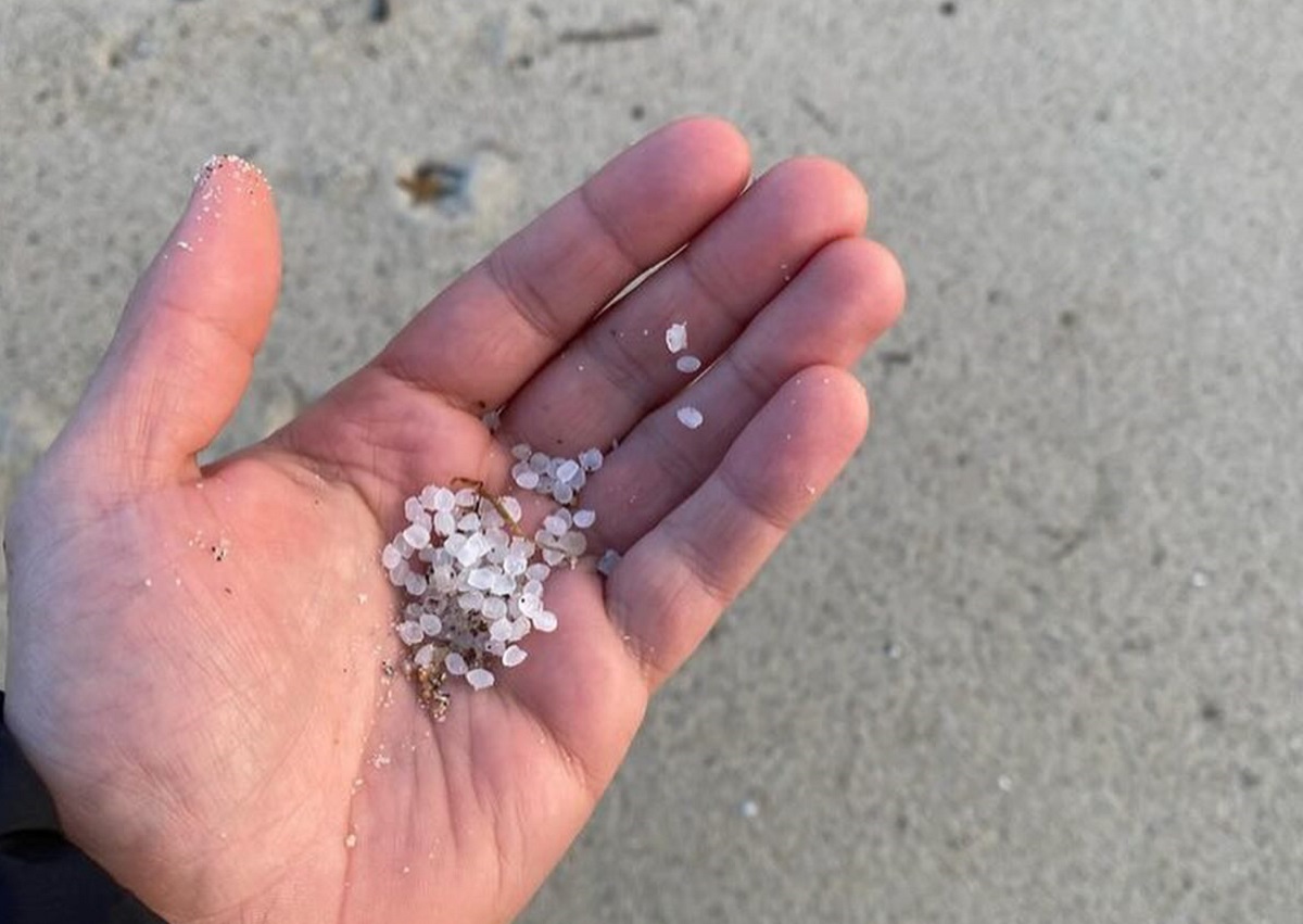 Pescadores preocupados com “maré de plástico” em praias espanholas