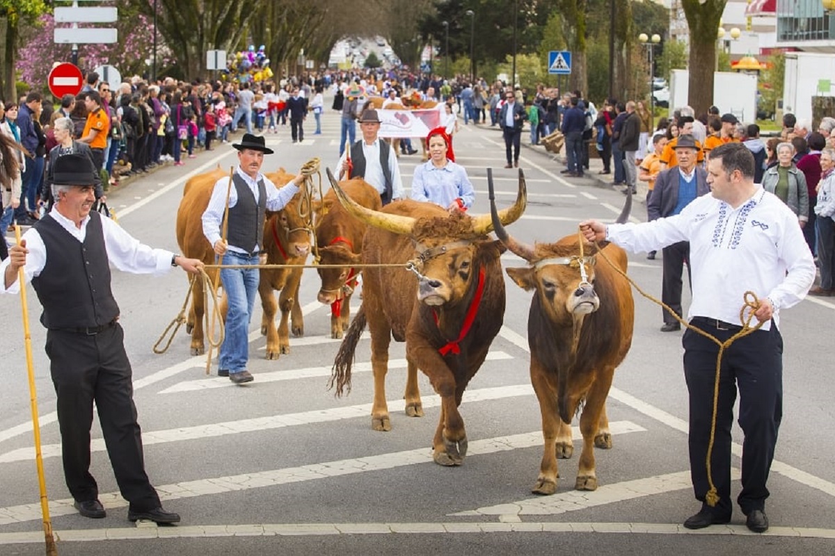 Este domingo! Bois da Páscoa em Arcos de Valdevez