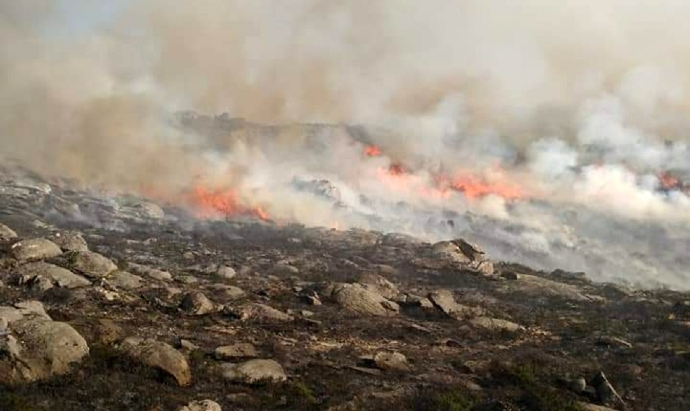 Bombeiros combatem incêndio na Senhora do Minho