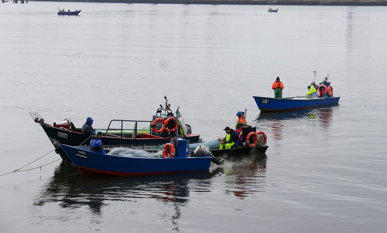 Especialista defende proibição da pesca da lampreia