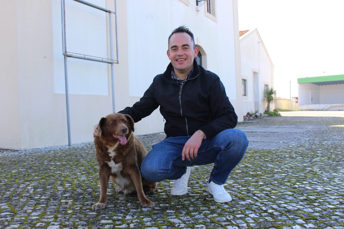 Bobi perde o título de cão mais velho do mundo