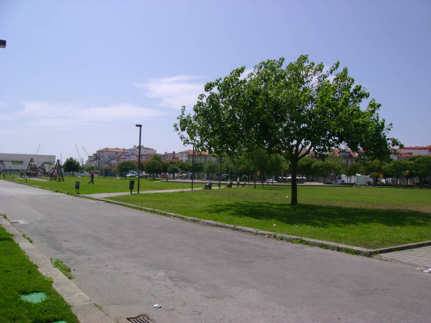 Viana do Castelo planta mais de 500 árvores em ambiente urbano
