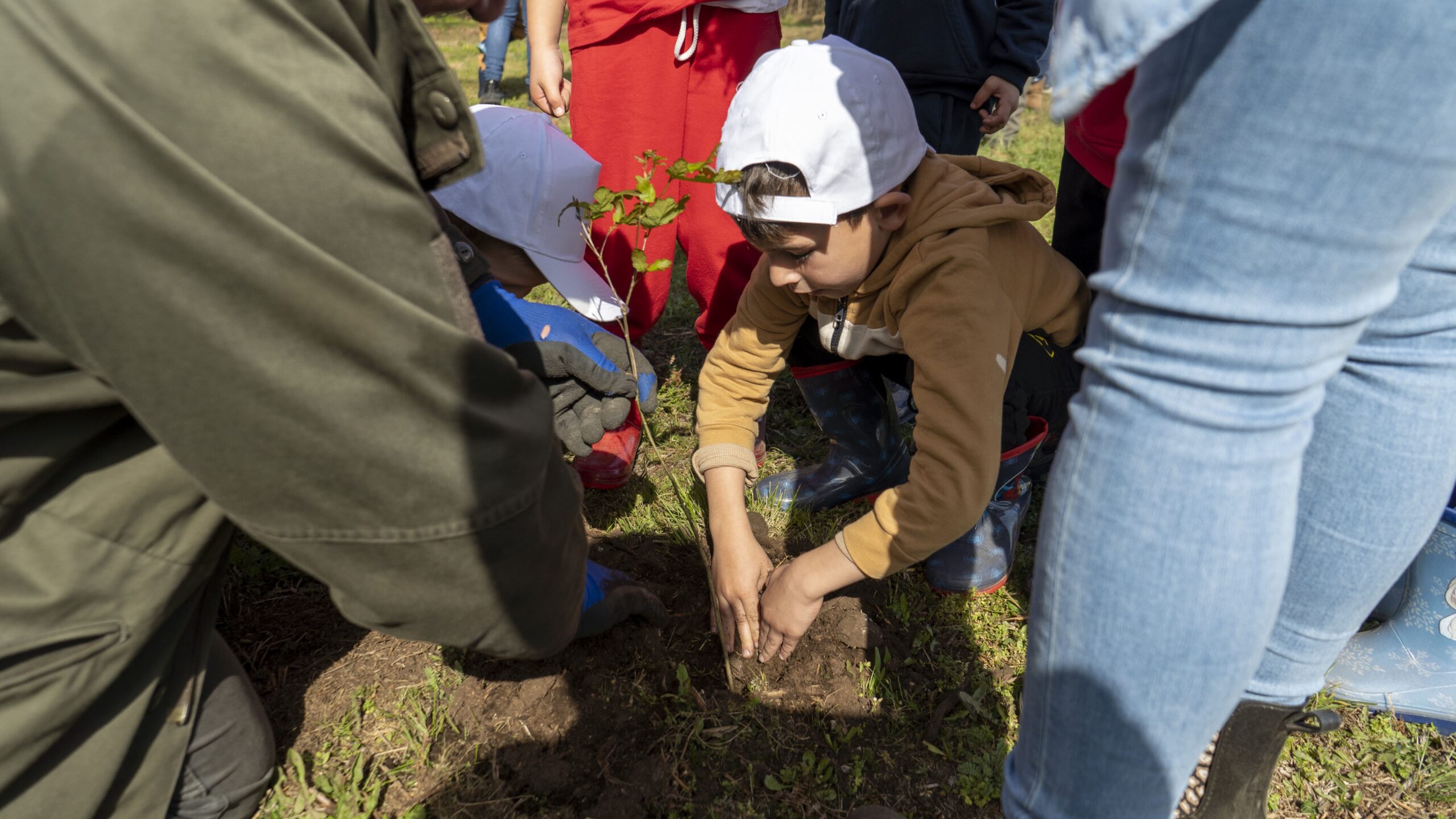 Cerveira assinala final de período com teatro, plantação de árvores e chocolates