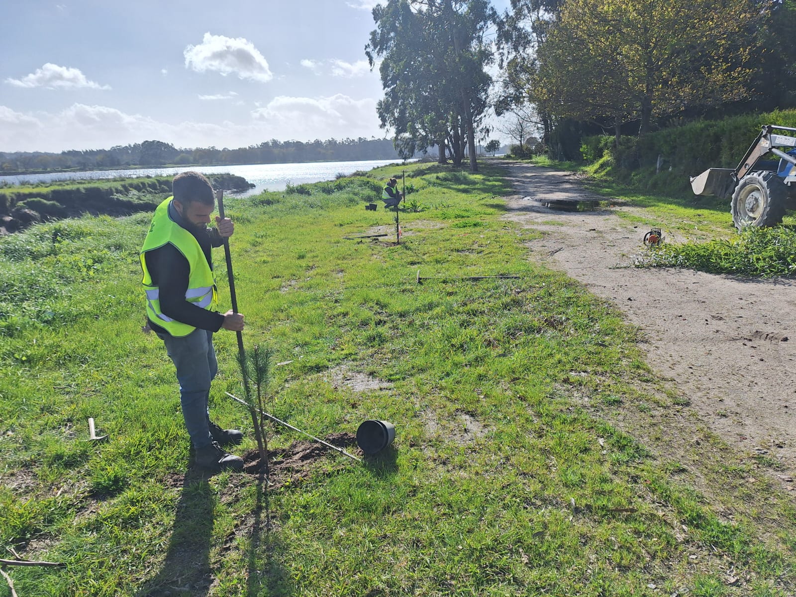 Viana planta 60 árvores no parque de merendas em Cardielos
