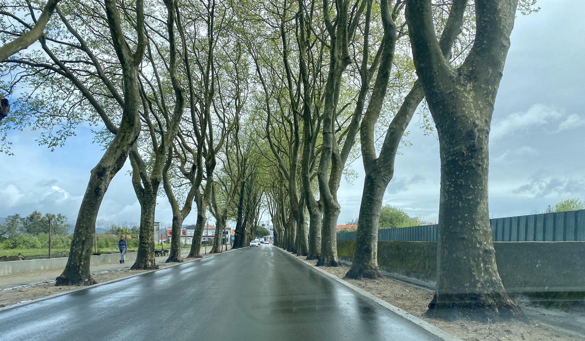 Já se circula na Avenida do Cabedelo