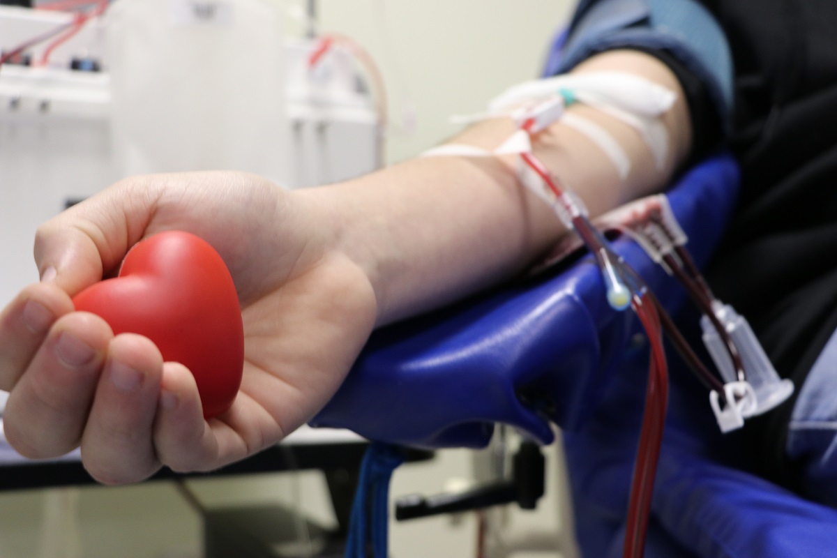 Viana do Castelo promove dádiva de sangue