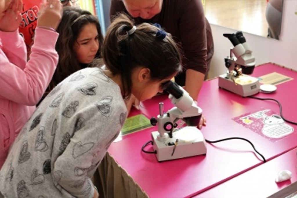 Ponte de Lima acolhe feira de educação, ciência e tecnologia