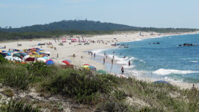 Há uma praia em Viana do Castelo com “Zero Poluição”