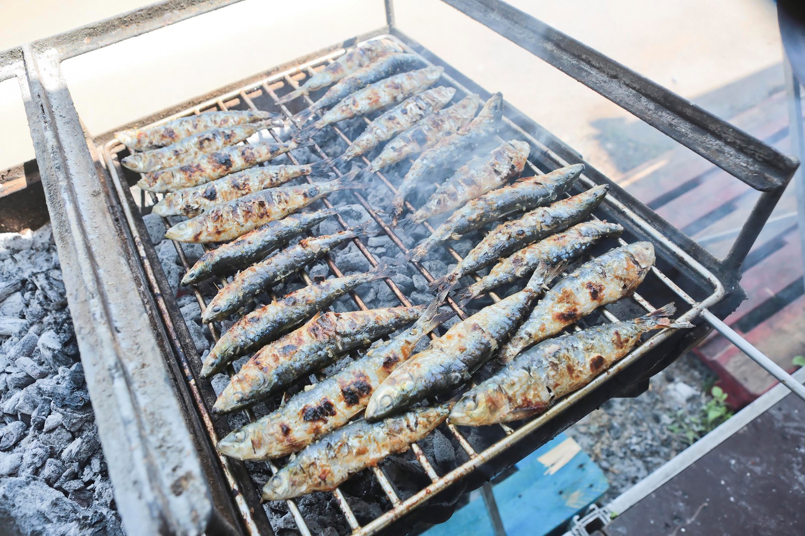 Até 18 de agosto em Vila Praia de Âncora! Festa do Mar e da Sardinha