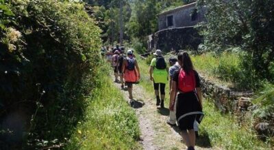 Viana do Castelo promove caminhada de sensibilização para o AVC