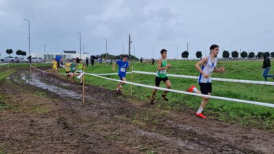 Está a chegar o Campeonato Regional de Corta-Mato Longo