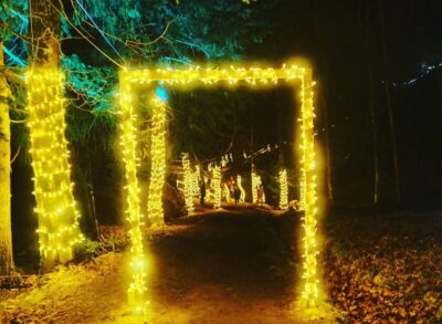 “Floresta Encantada” em Arcos de Valdevez vai cobrar entrada