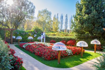 Ponte de Lima já trabalha na 20.ª edição do Festival Internacional de Jardins