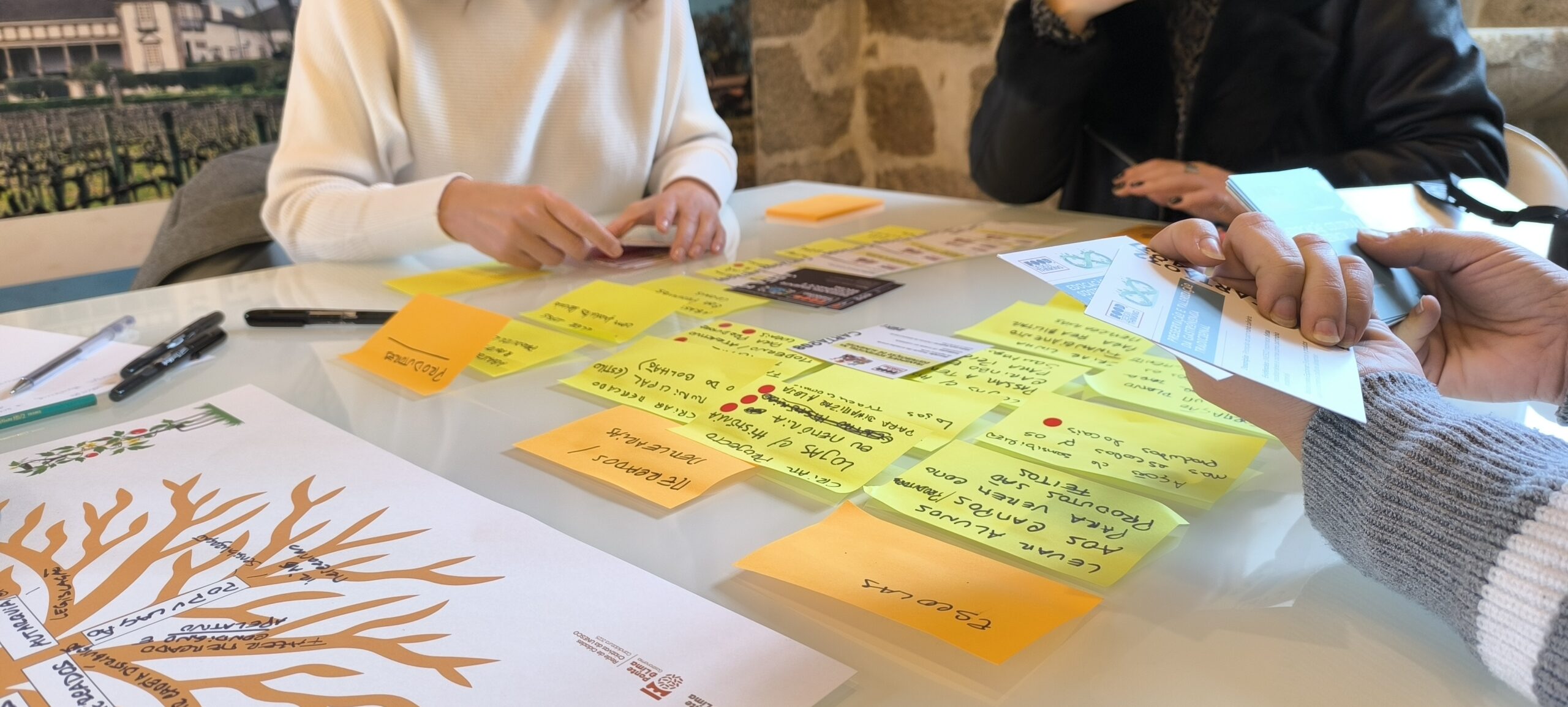 Ponte de Lima promove sessões de “Food Design Thinking” de gastronomia sustentável