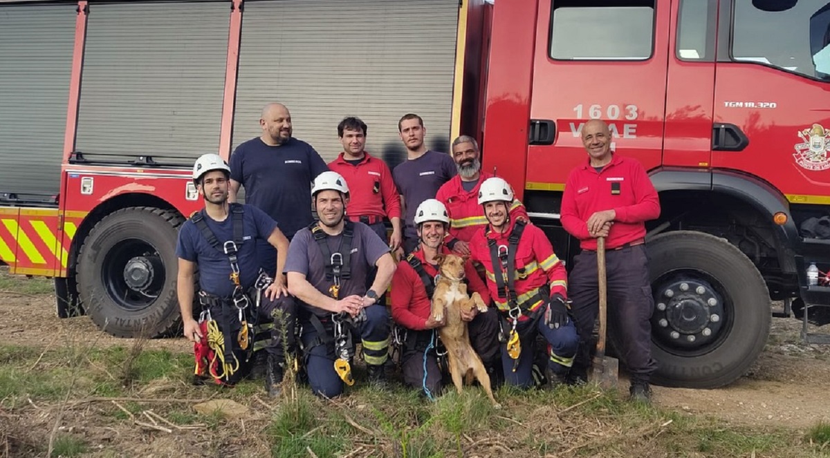 Bombeiros de Ponte de Lima salvam cão de uma antiga mina: “Missão cumprida”