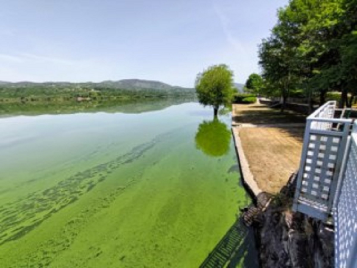 Autarca de Ponte da Barca preocupado com contaminação do rio Lima na Galiza