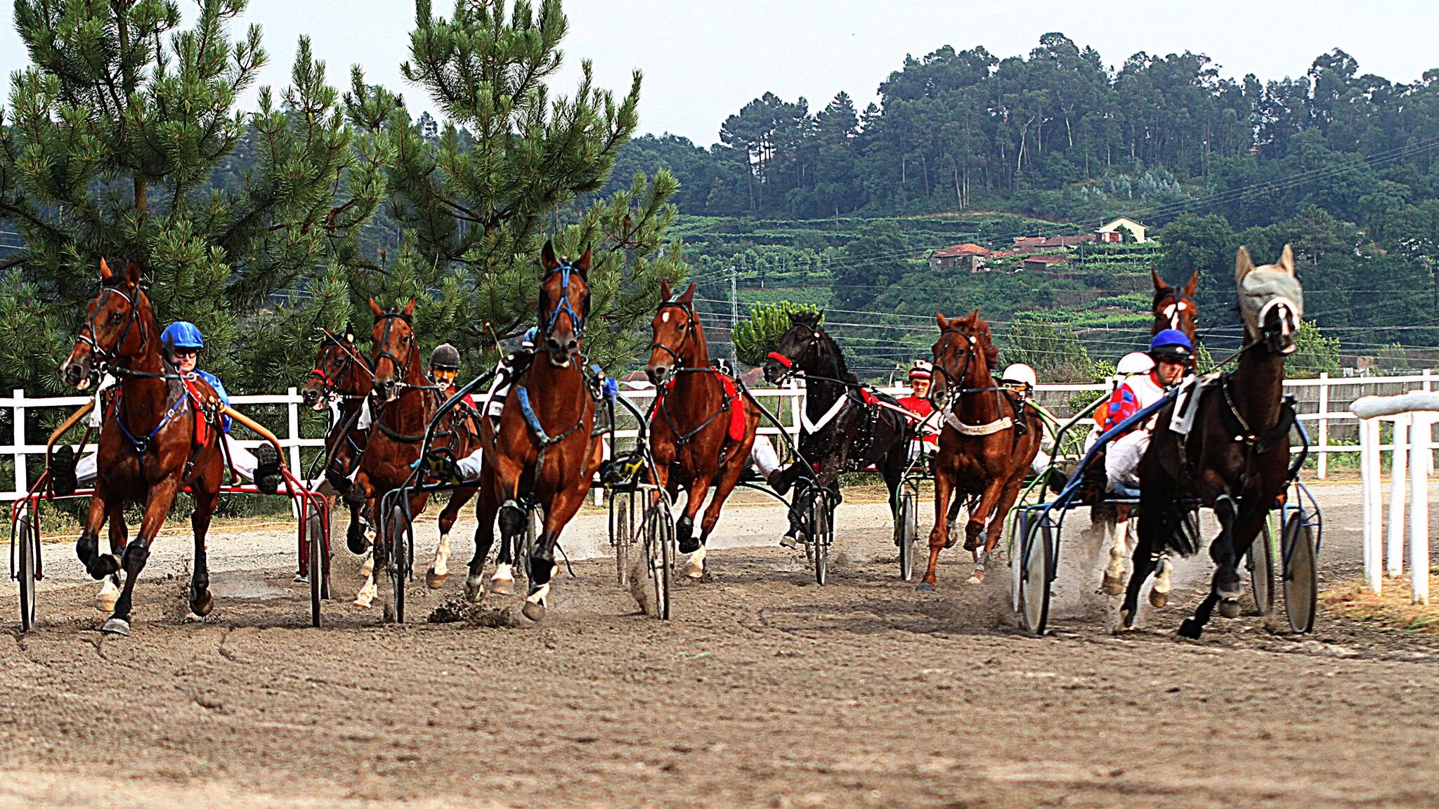 Corridas de cavalos regressam a Ponte de Lima após 19 anos de interregno