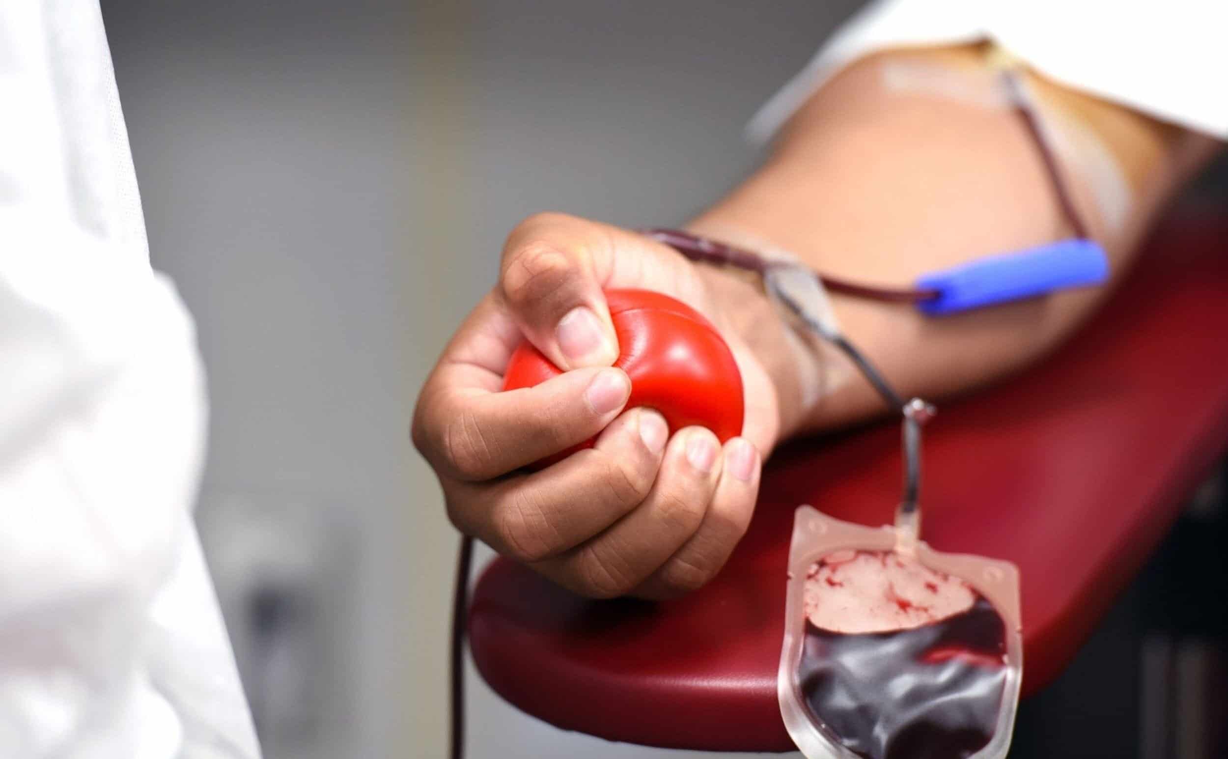 Campanha de doação de sangue em Alvarães