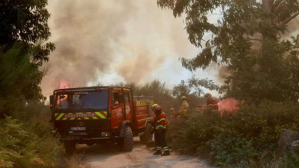 Incêndio em Ponte de Lima destrói mais de 800 hectares