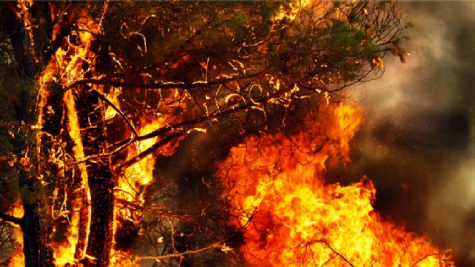 Vento forte “descontrola” incêndio no Gerês