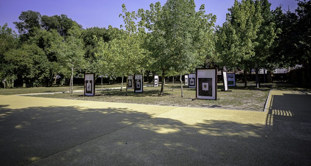Parque Ecológico Urbano com parques infantis e percursos pedonais renovados