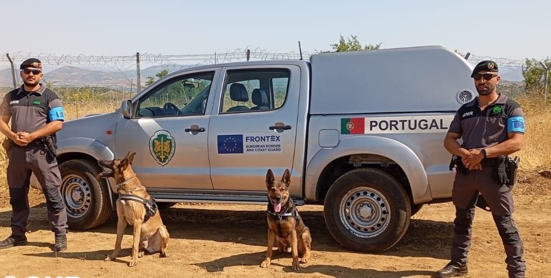 GNR homenageia “militares de quatro patas” no Dia Mundial do Cão