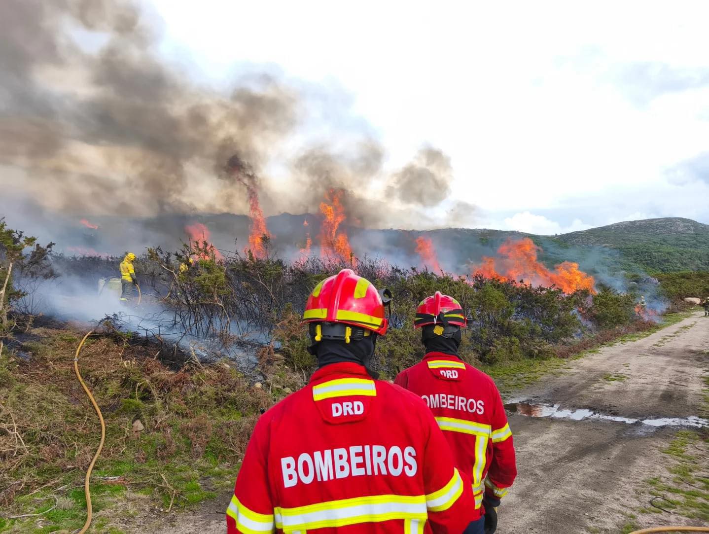 Incêndios. Situação de alerta prolongada até sexta-feira