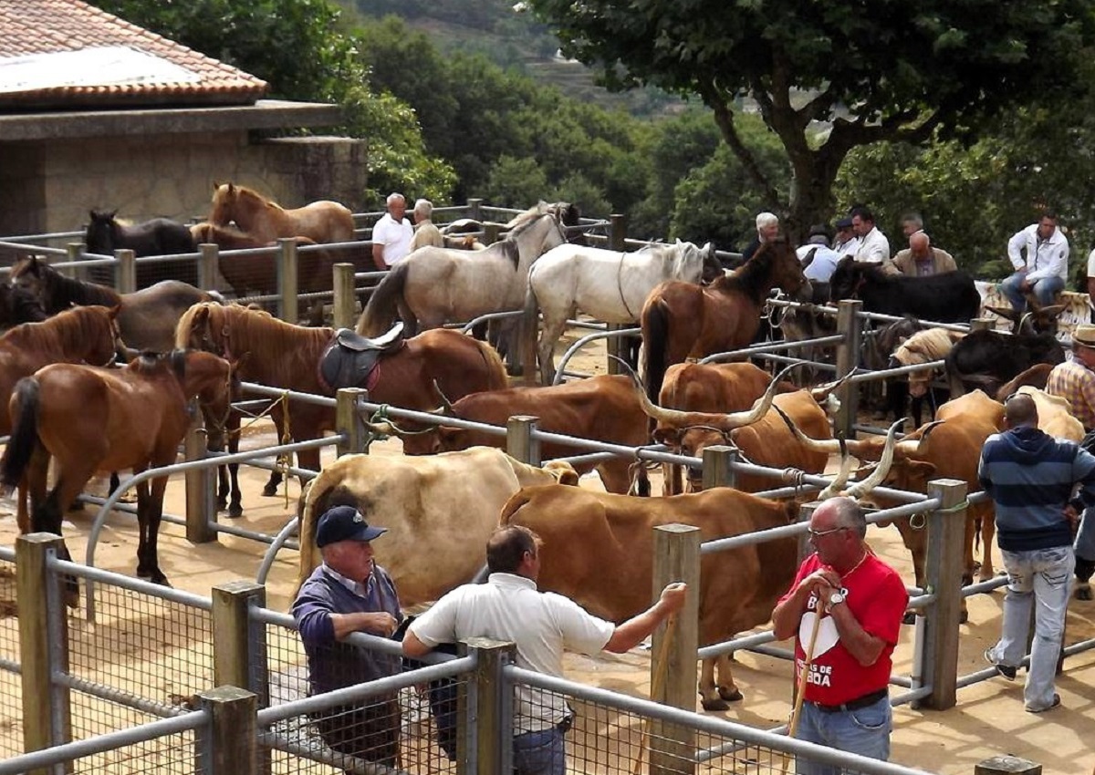 Está a chegar a Feira Tradicional da Portela de Alvite