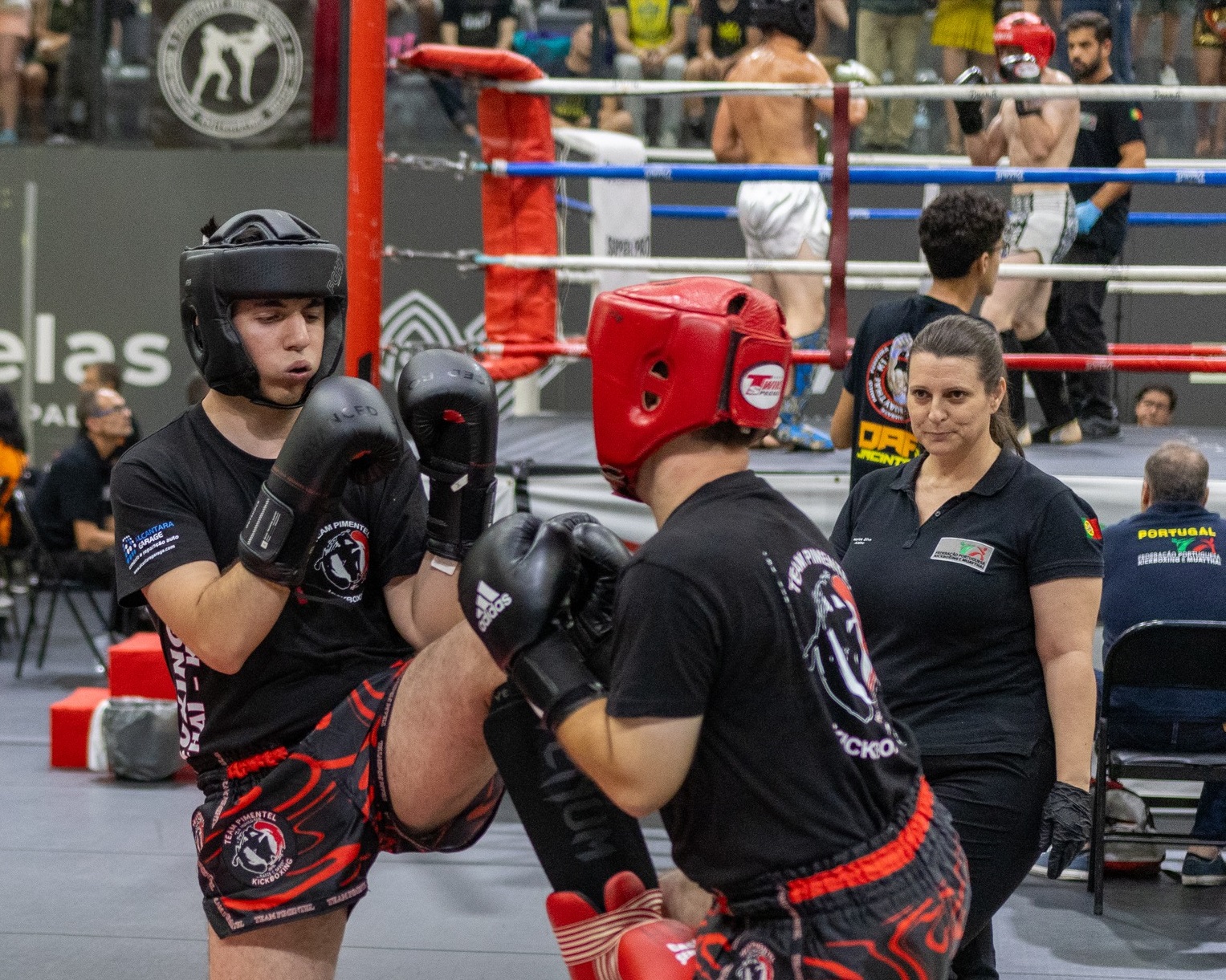 Mais de 600 atletas participam em encontro internacional de kickboxing em Viana