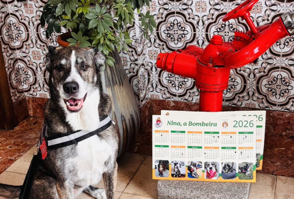Já há calendário para 2026 da “bombeira” mais famosa de Viana
