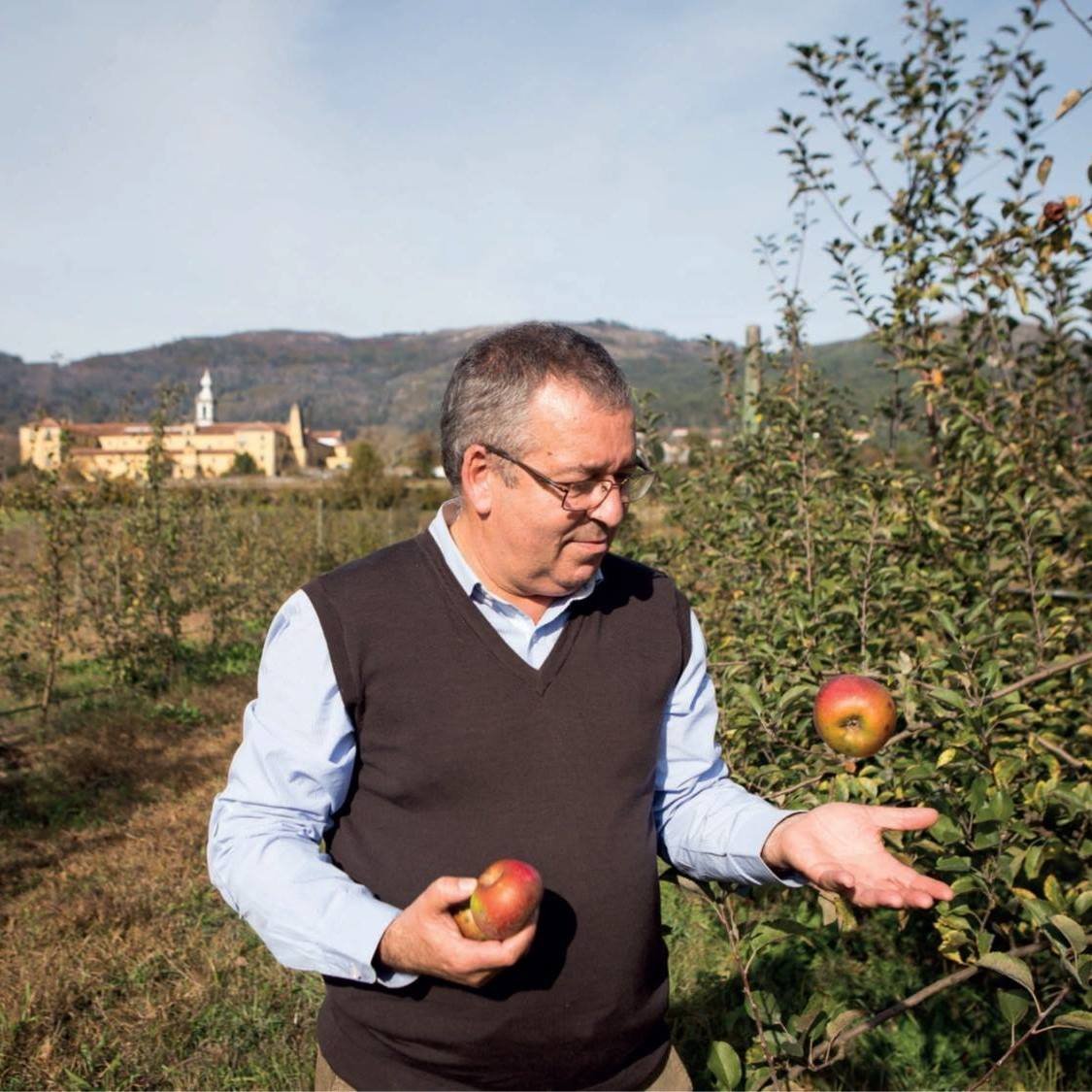 Politécnico de Viana do Castelo lidera projeto nacional que preserva as maçãs do Minho e a memória do território