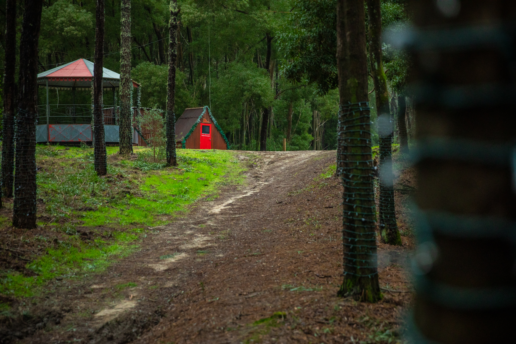 Caminha prepara-se para inaugurar a Floresta Encantada