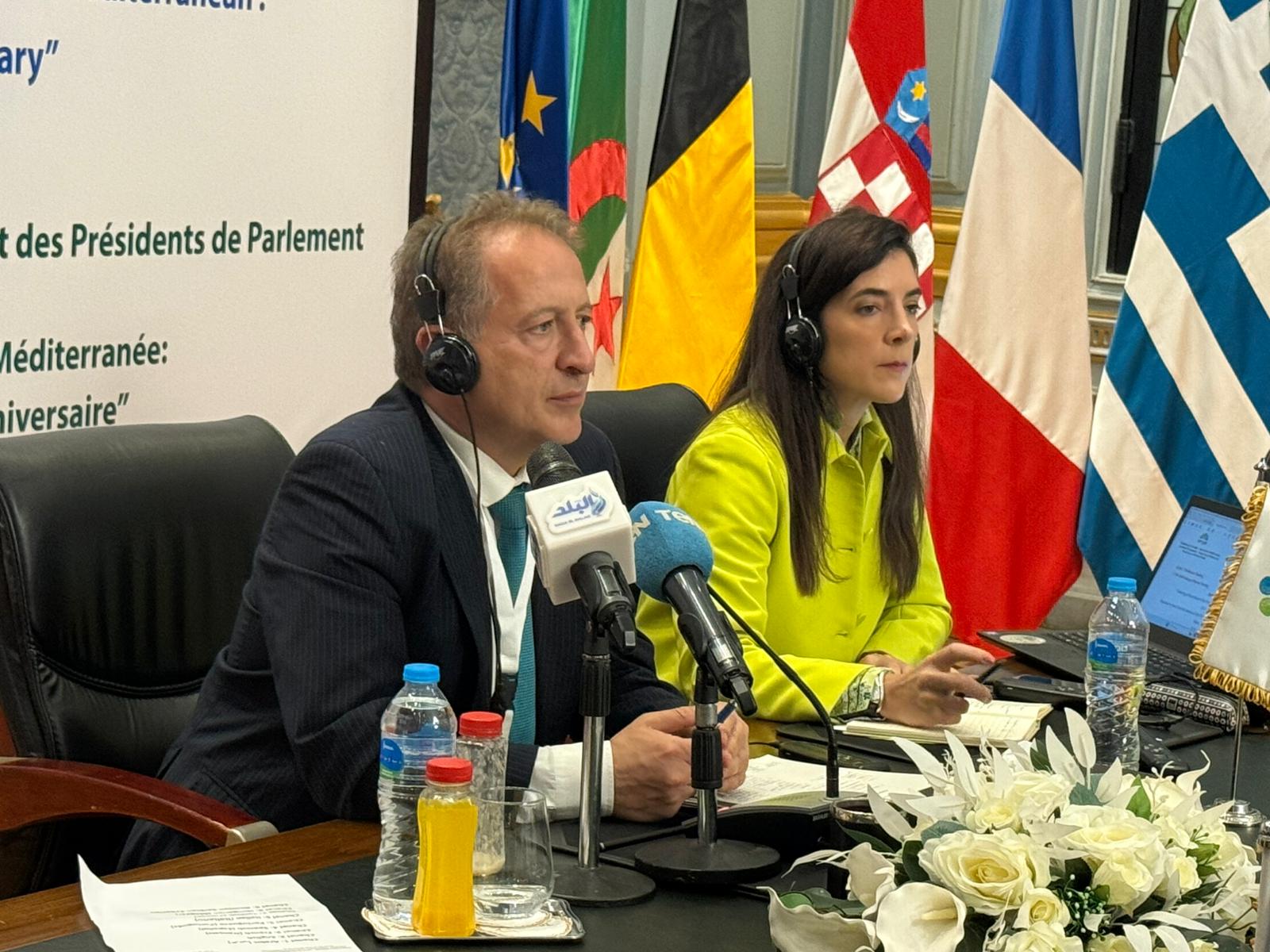 Deputado vianense preside reunião internacional no Egipto