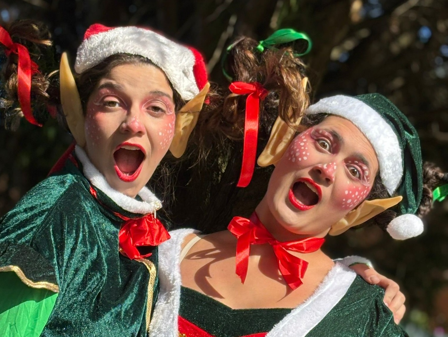 “A Noite Antes do Natal” assinala chegada do Pai Natal a Viana do Castelo