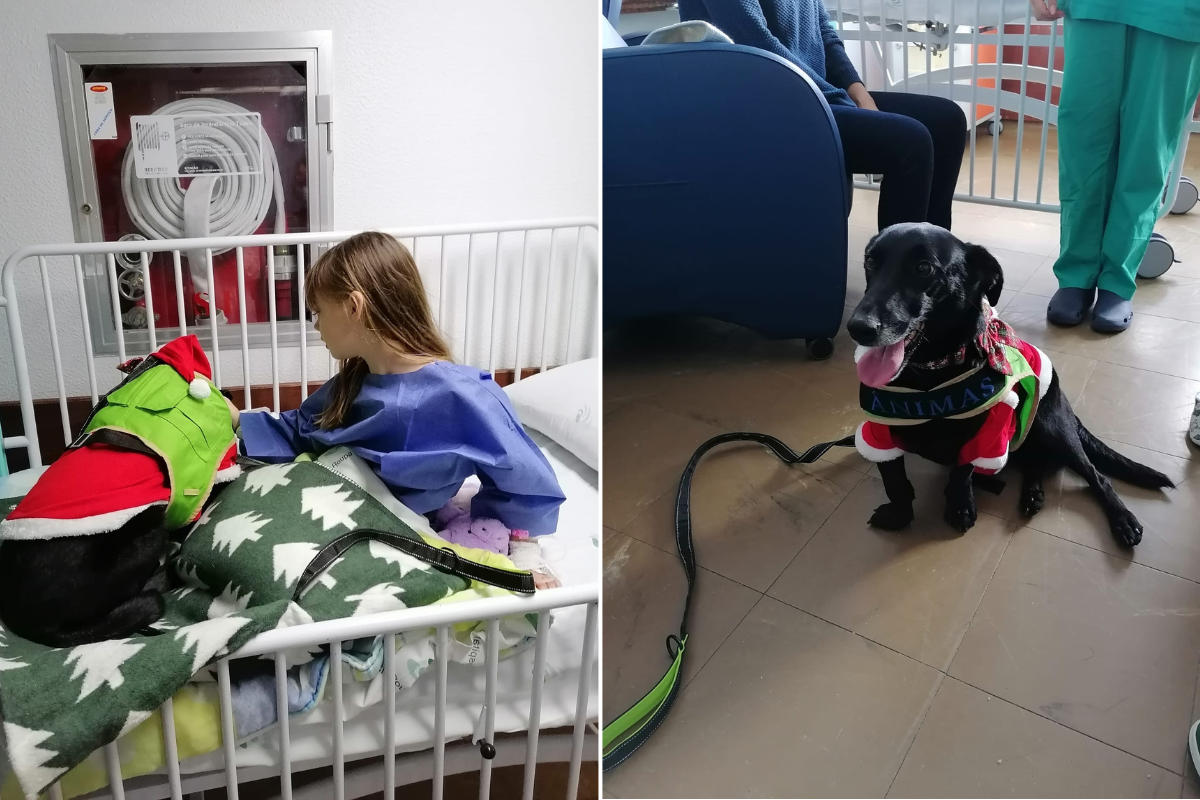 Crianças internadas na Pediatria da ULSAM receberam visita especial