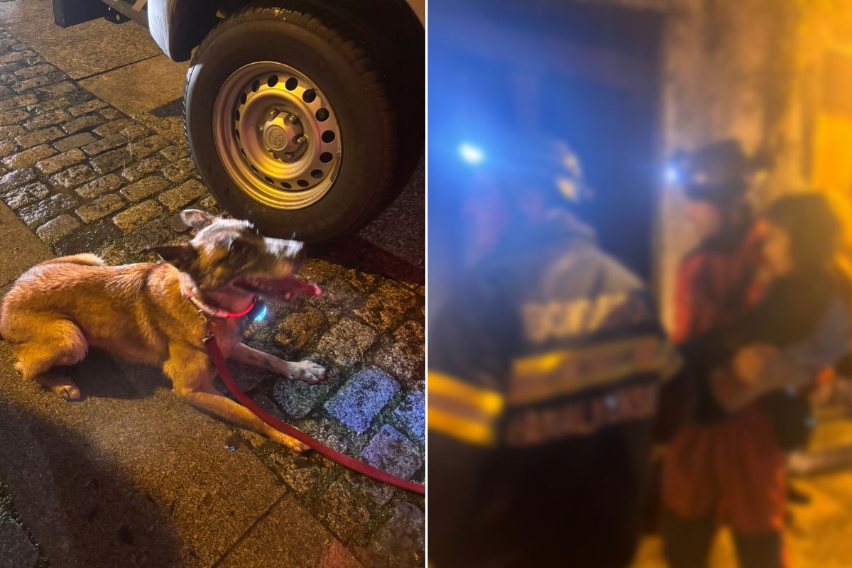 Encontrado menino de 9 anos que estava desaparecido em Arcos de Valdevez