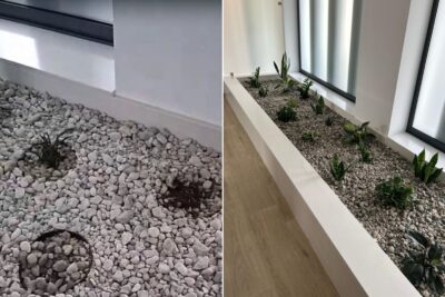 Junta de Areosa repudia furto de plantas na Casa Mortuária