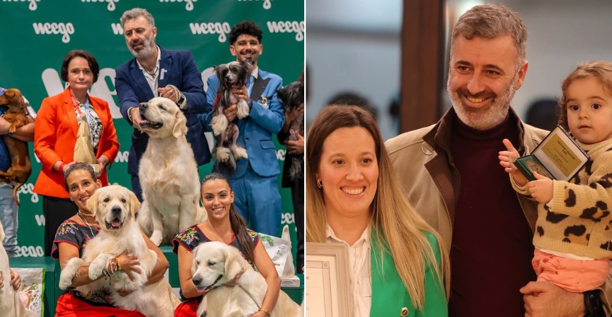 É de Ponte de Lima o melhor criador de cães em Portugal
