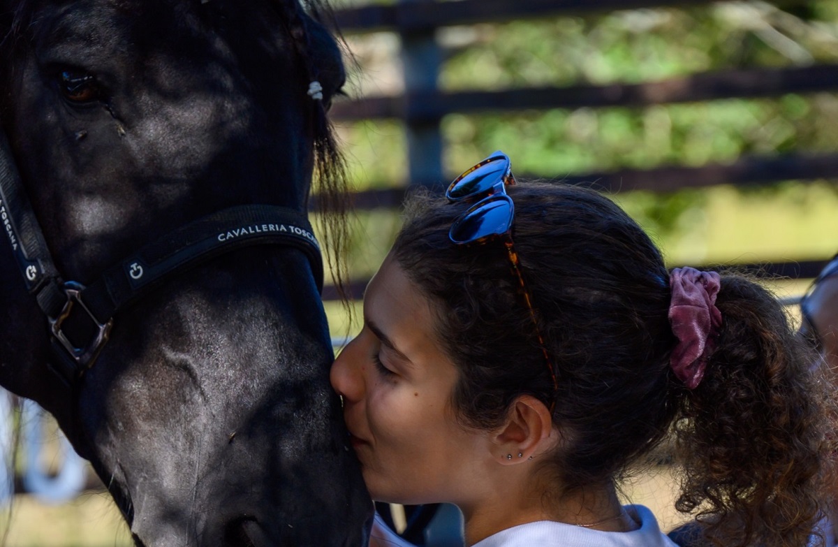 Alunos de Viana com necessidades especiais vão ter terapia com cavalos
