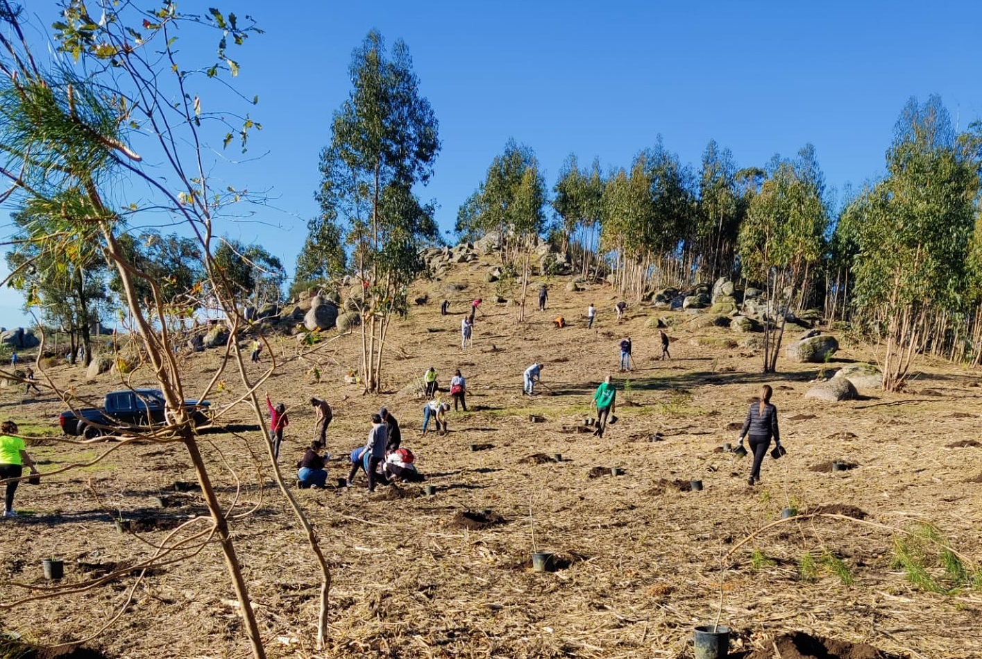 “Vamos Plantar a Padela!” realiza-se este domingo