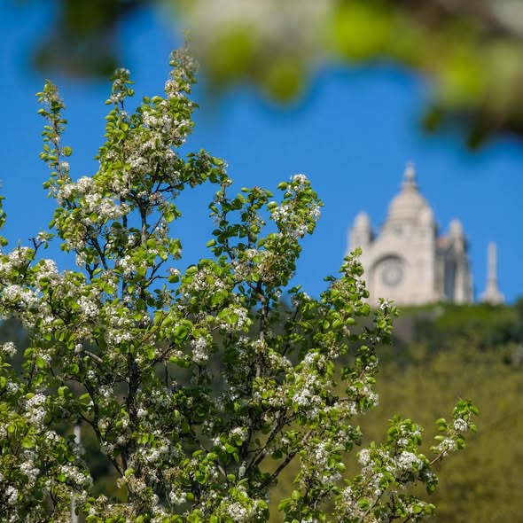 Semana arranca com sol e temperaturas amenas