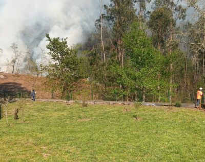Caminha: Incêndio florestal deflagra em Gondar