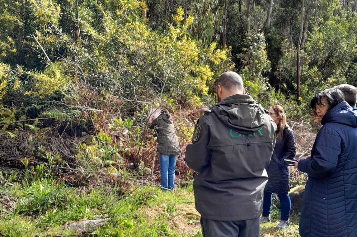 Viana do Castelo promove ações de monitorização para prevenir incêndios rurais