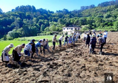 Arcos de Valdevez: Padroso uniu população para a plantação da batata