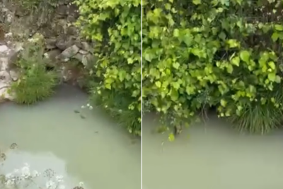 Junta de Outeiro denuncia alegado caso de poluição no rio da freguesia